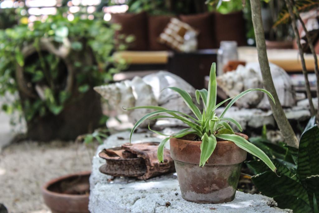Secret Garden Tulum Hotel Екстер'єр фото