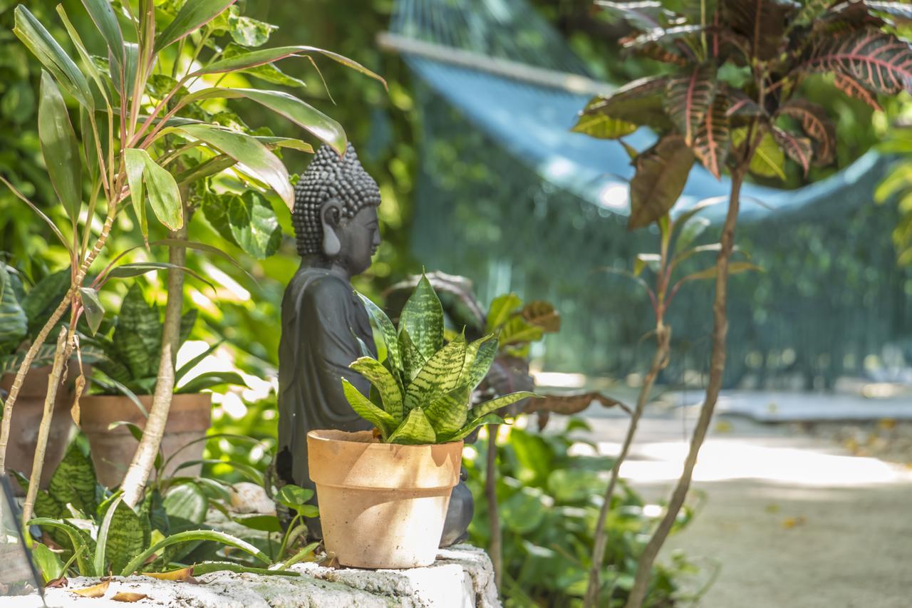 Secret Garden Tulum Hotel Екстер'єр фото