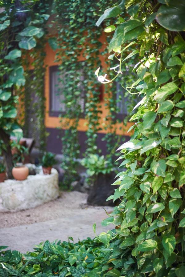 Secret Garden Tulum Hotel Екстер'єр фото